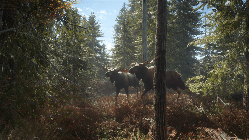 the Hunter
