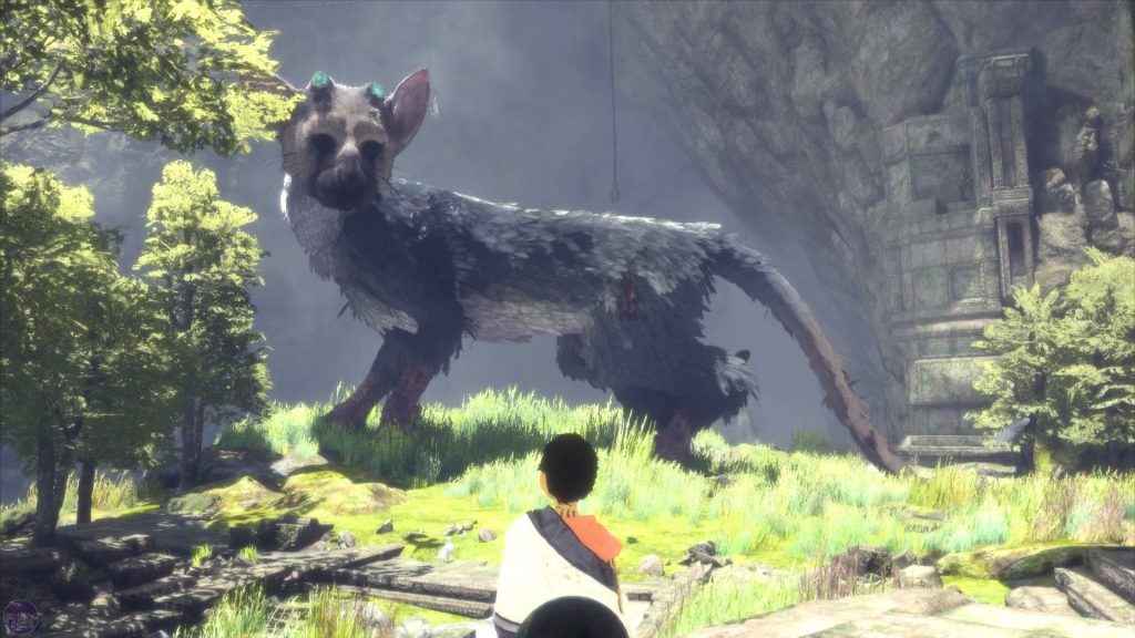 The Last Guardian Suffers From Performance Issues On Both PS4 & PS4 Pro