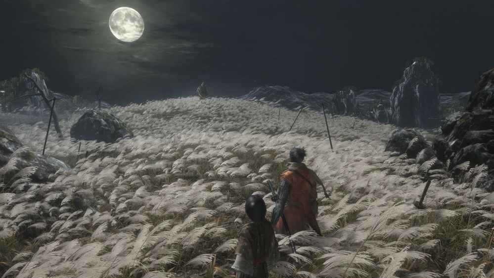 Sekiro: Shadows Die Twice revolves around The Shinobi and his ward, The Young Lord