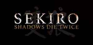 Seikiro Shadows Die Twice combat