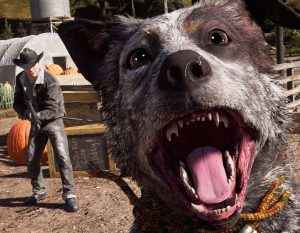 far cry 5 photo mode