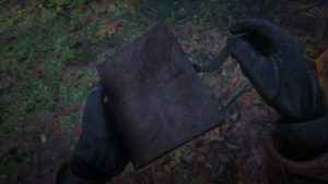 Read Dead Redemption 2 - Arthur's Journal is worth reading.