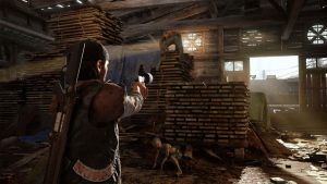 Days Gone Collectors