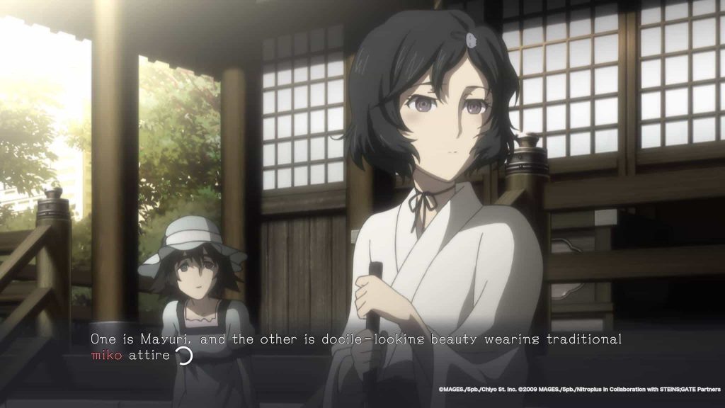 Steins Gate Elite Review 01