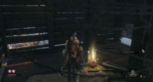 Sekiro: Shadows Die Twice Ashina Outskirts Guide - Items, Enemies, Secrets