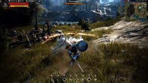 Black Desert PS4 Release Date