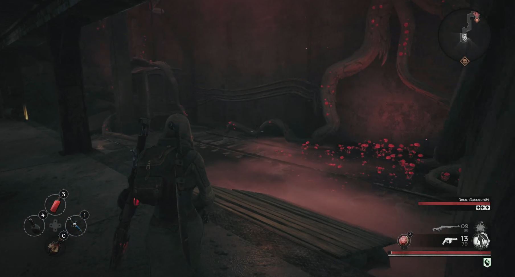 remnant-from-the-ashes-first-impressions-1