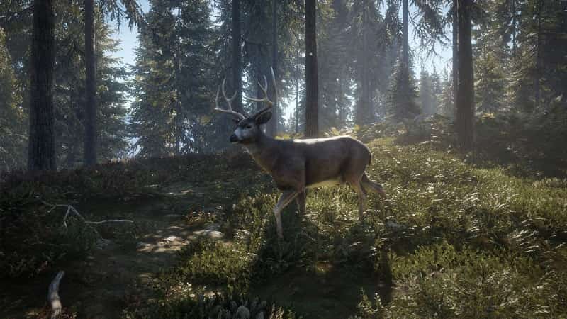 thehunter call of the wild ps4