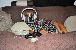 call of doodee