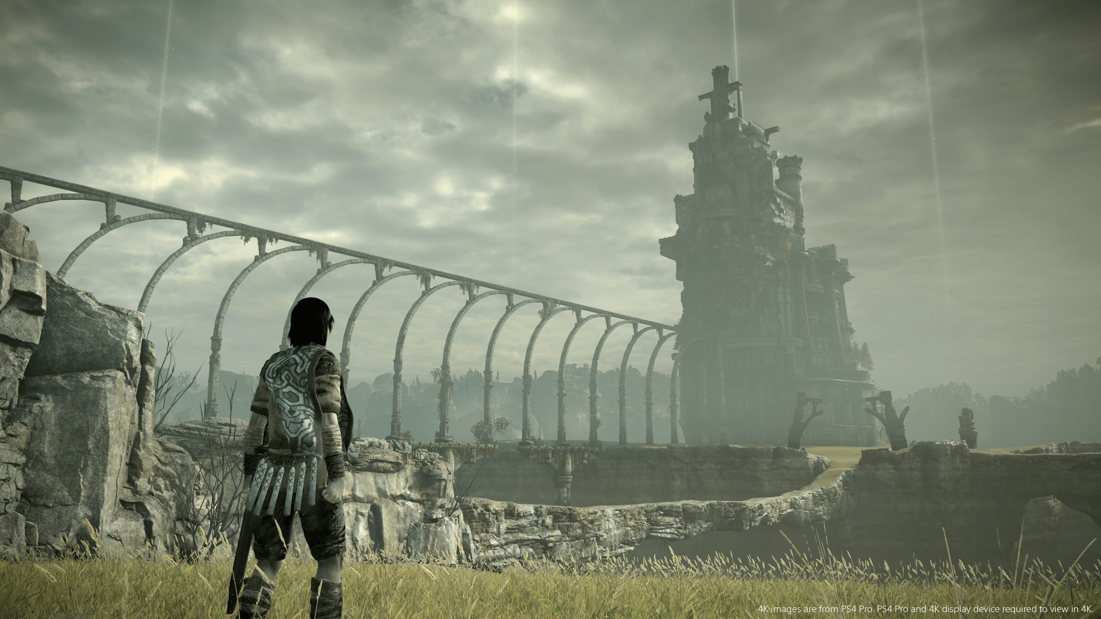 Shadow of the Colossus PS4 Pro comparison to PS2 and PS3 version -  PlayStation Universe