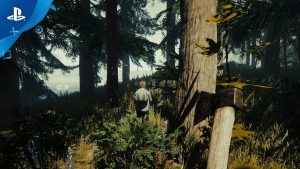 The Forest release date