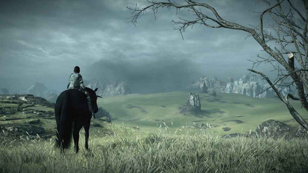  Shadow of the Colossus - PlayStation 4 : Sony Interactive  Entertai: Everything Else