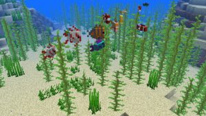 A selection of the tropical fish that can now be found in Minecraft as part of the Update Aquatic
