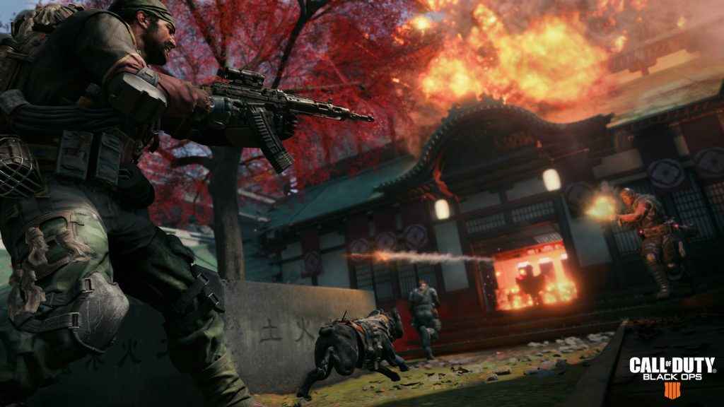 black ops 4 blackout mode how many players