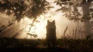 Red Dead Redemption 2 Grave Locations