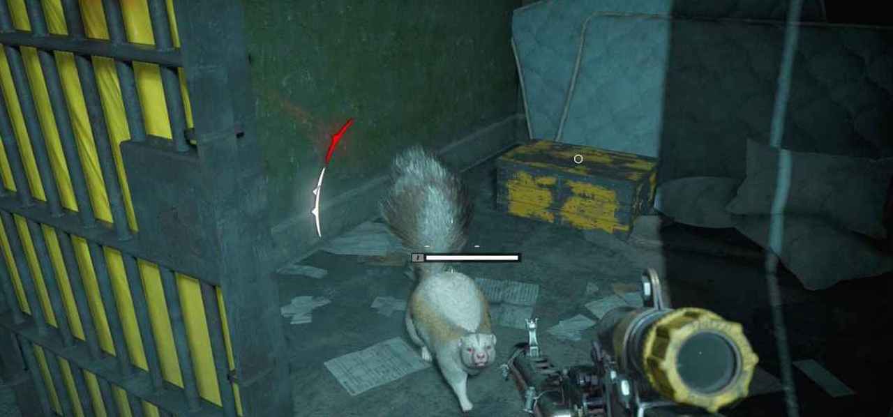 Far Cry New Dawn Skunk Location - Where To Find A Skunk's Skin