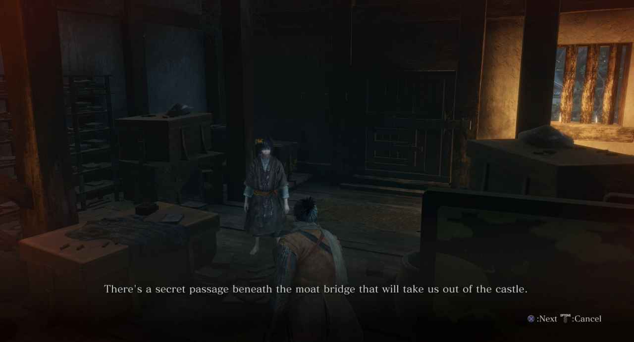 Sekiro: Shadows Die Twice Ashina Reservoir Walkthrough - Items, Enemies