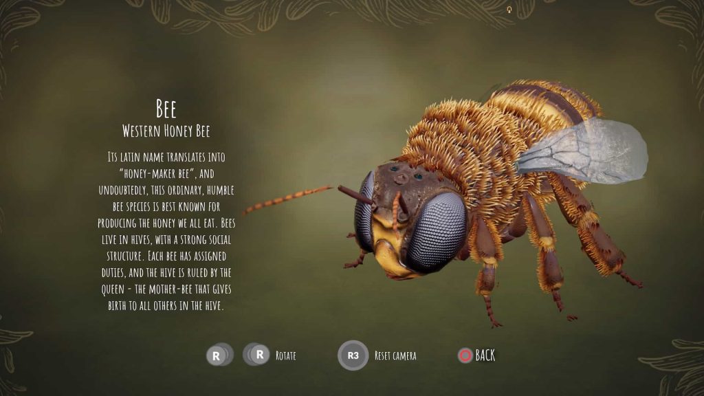 bee simulator review bee simulator review