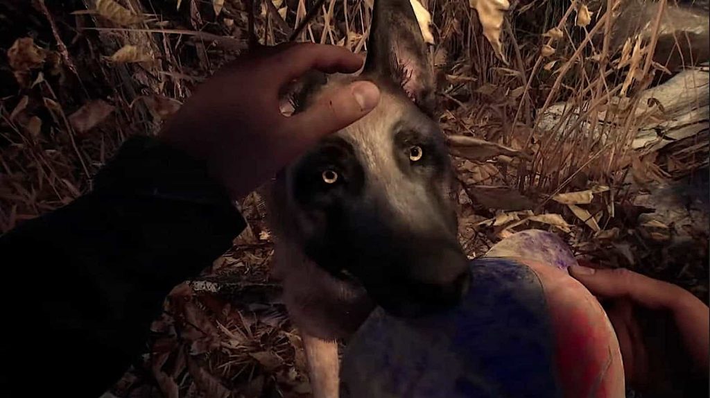 Blair Witch PS4 Review 3