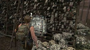 the-last-of-us-part-2-artifact-document-locations-167