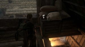 the-last-of-us-part-2-coin-locations-52