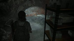 the-last-of-us-part-2-training-manuals-locations-10