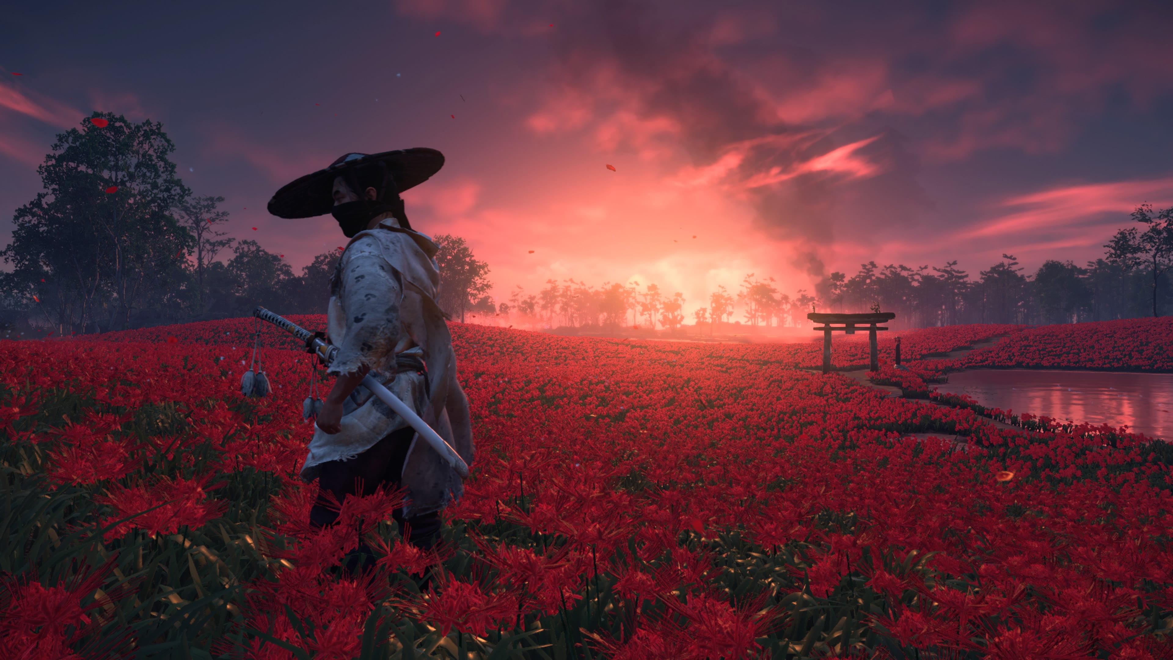 Ghost of tsushima 1080P 2K 4K 5K HD wallpapers free download  Wallpaper  Flare