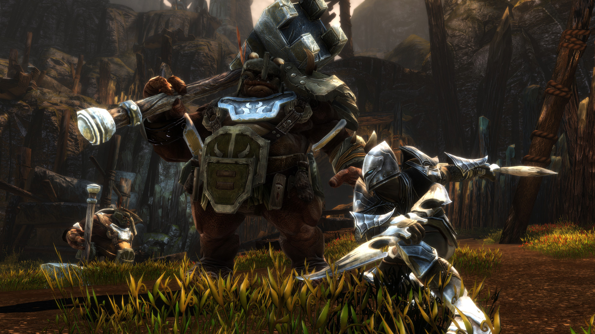 Kingdoms of Amalur: Re-Reckoning Review 02
