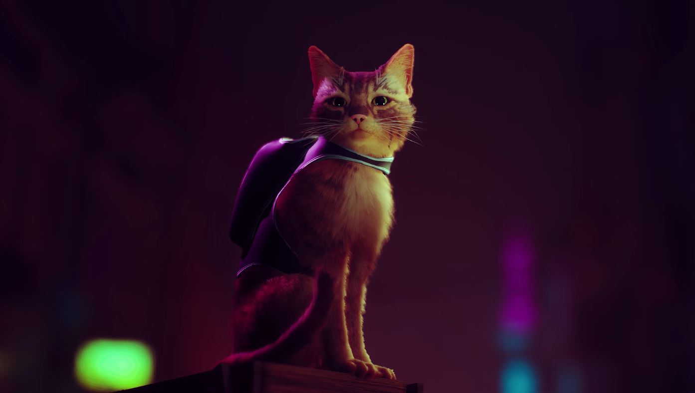 stray-ps5-release-set-to-arrive-in-october-2021