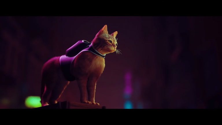 Stray Review: You Need The Cyberpunk Cat Game On PS4, PS5, PC