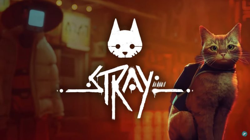 STRAY - PS5 —