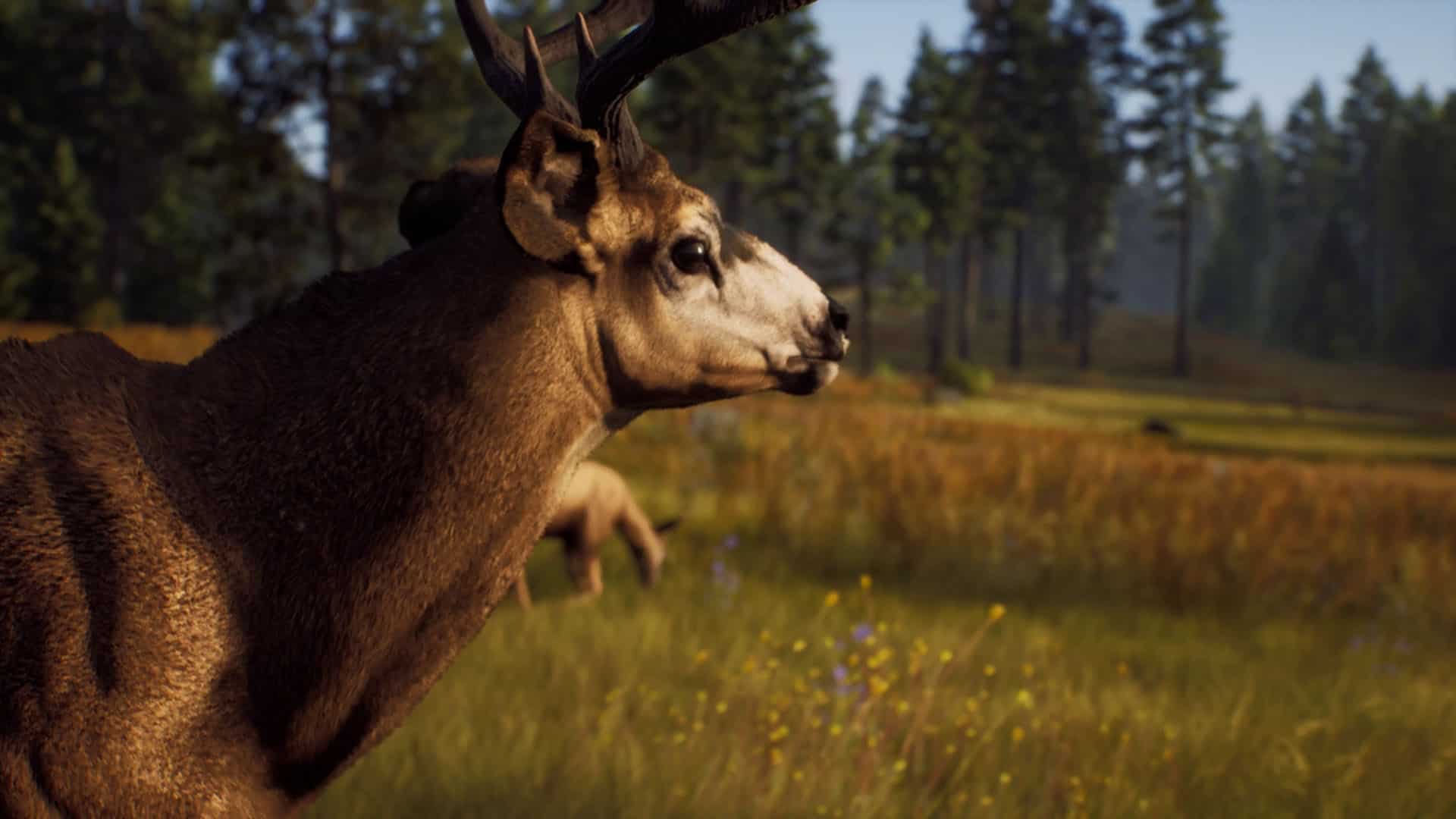 Way of the Hunter Review (PS5) - The Mild Hunt - Finger Guns
