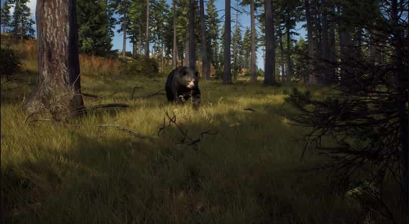 Way of the Hunter Review (PS5) - The Mild Hunt - Finger Guns