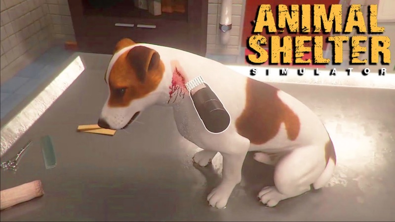 Animal Shelter Simulator