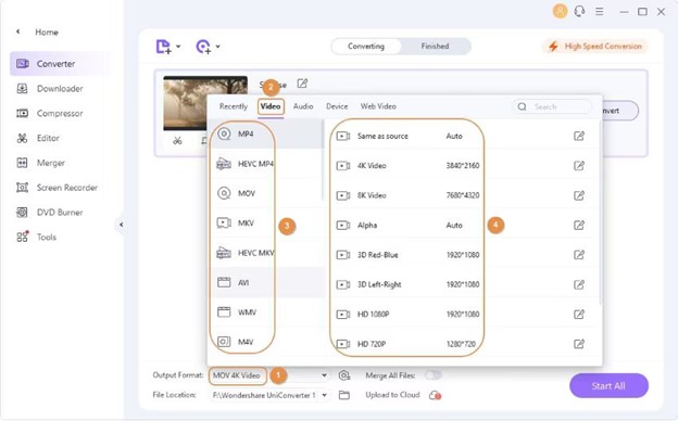 choose the output video format